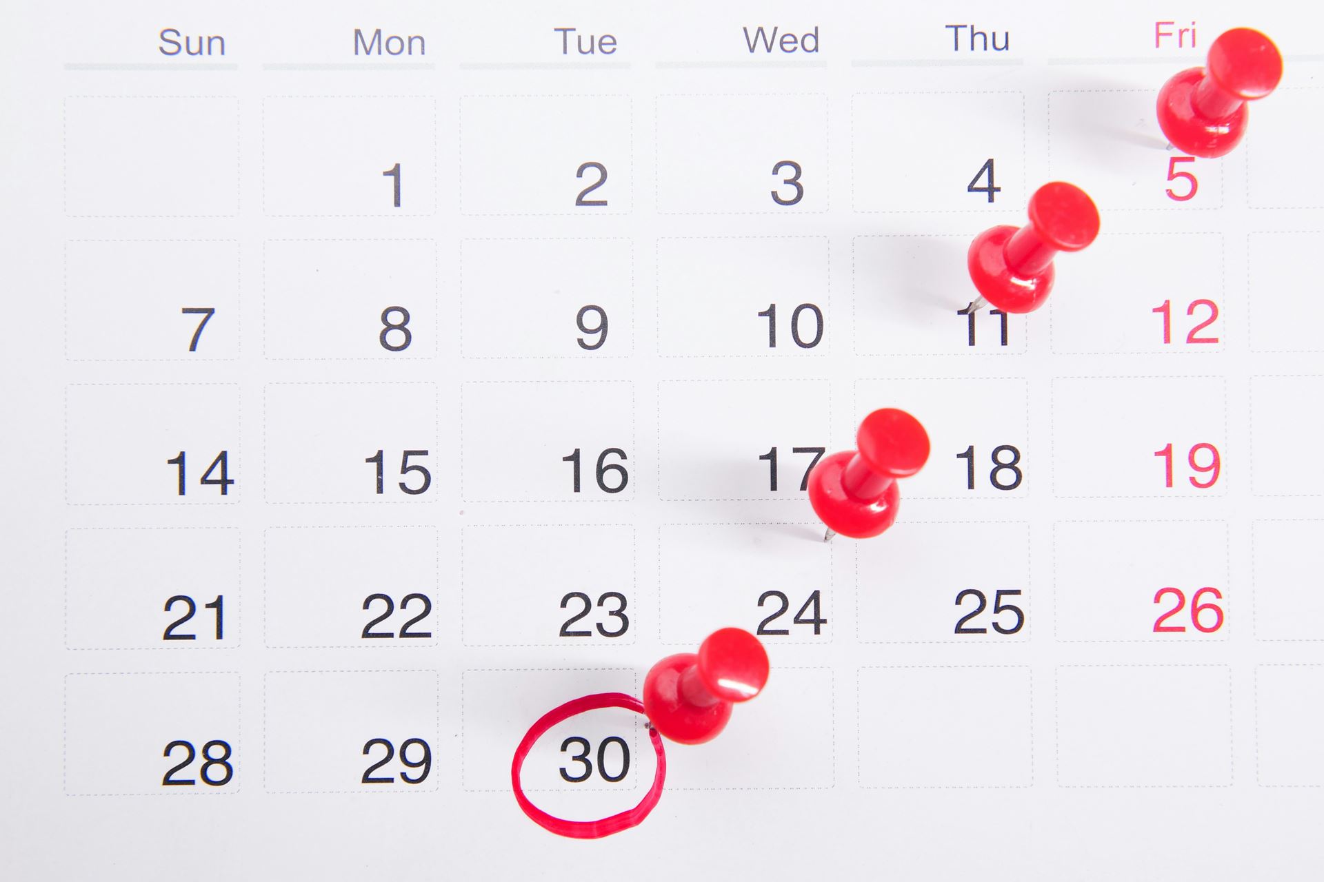 Month view calendar